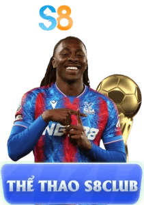 the thao s8 211x300 1