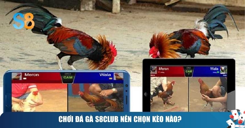 Chơi đá gà S8club nên chọn kèo nào?
