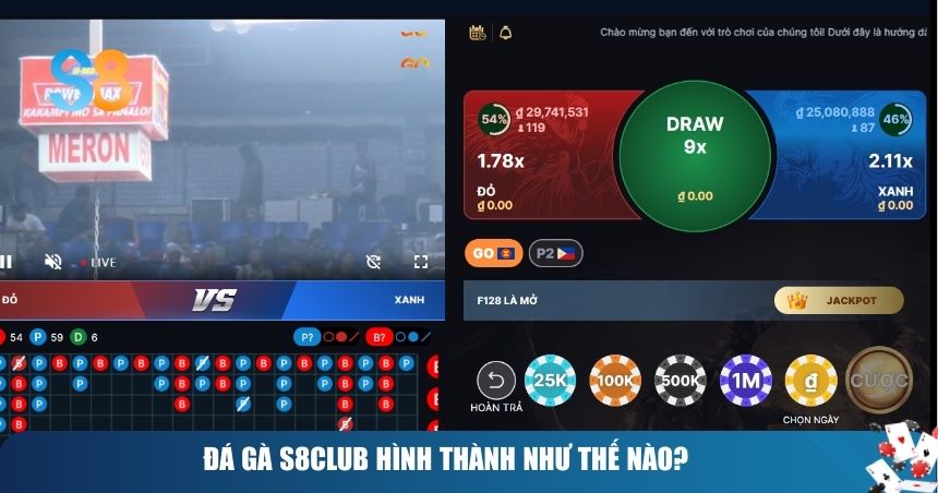 Đá gà S8club hình thành như thế nào?